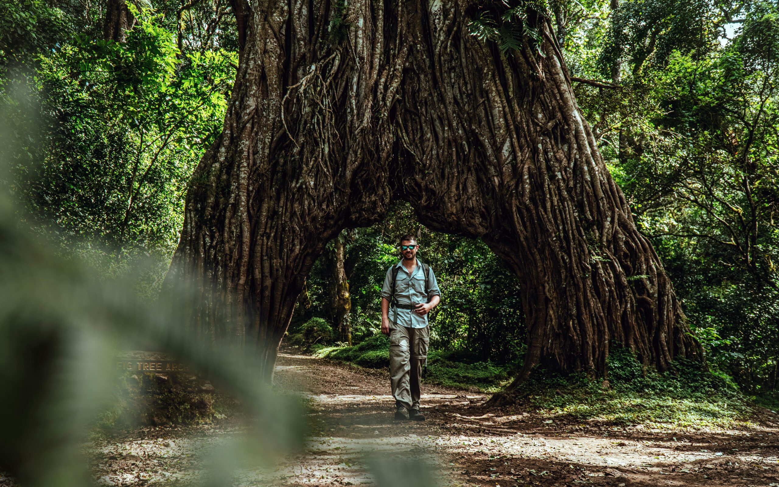 Arusha National Park