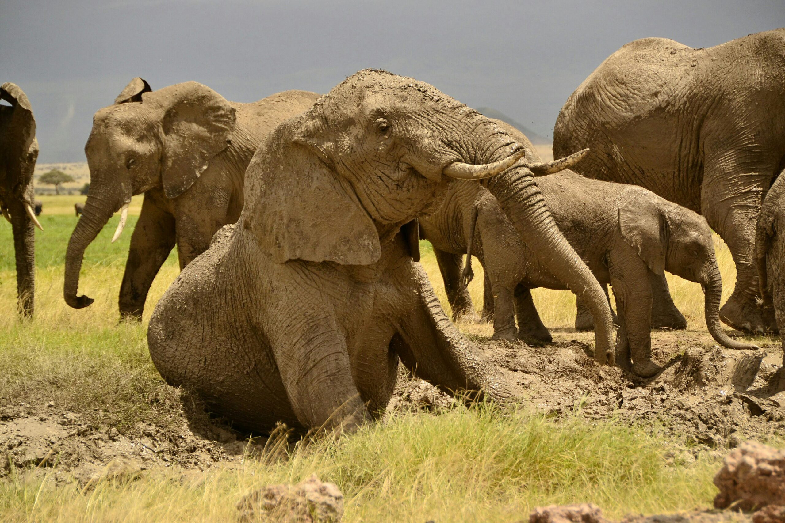 Tarangire National Park