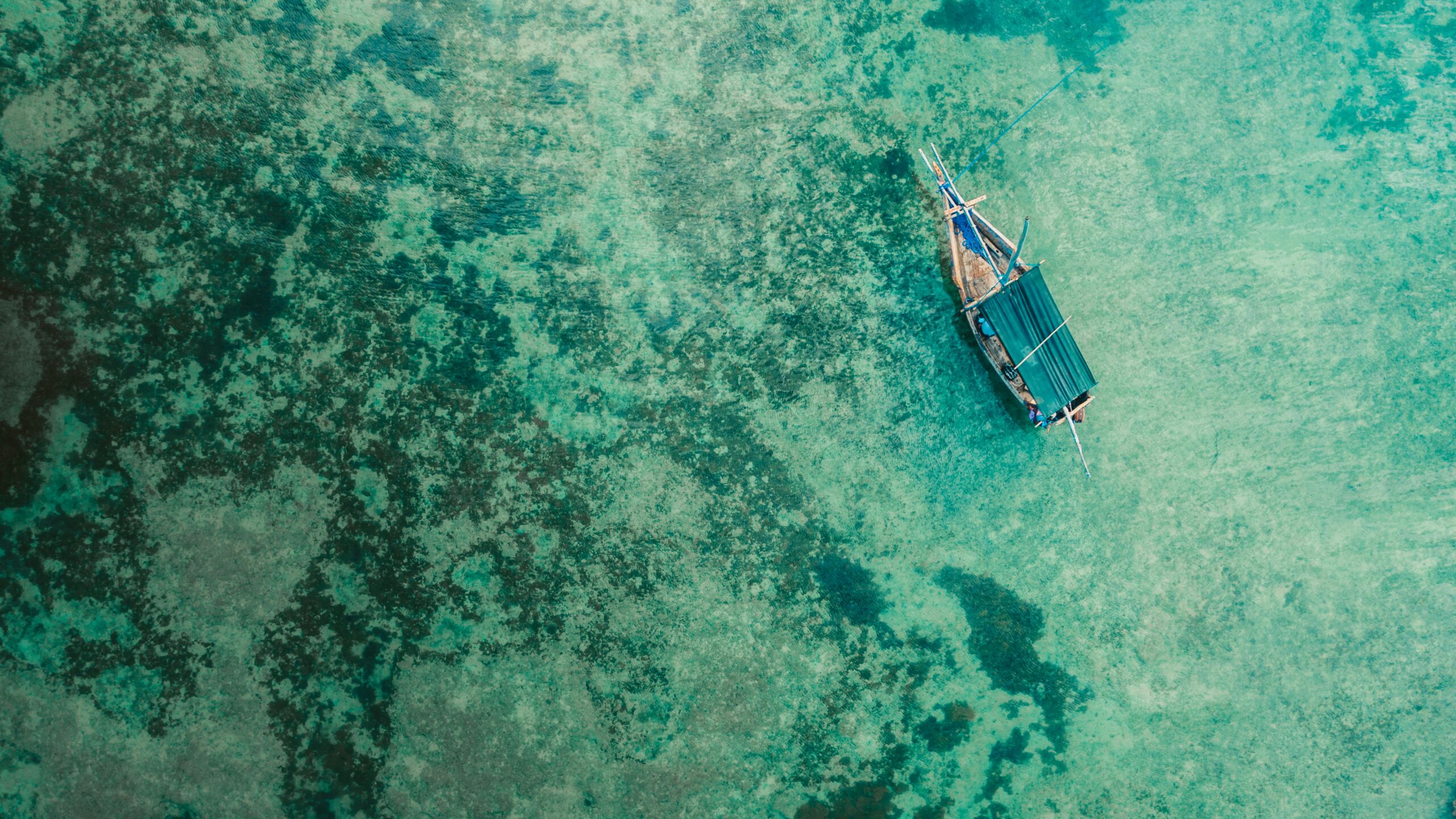 Zanzibar Beaches 