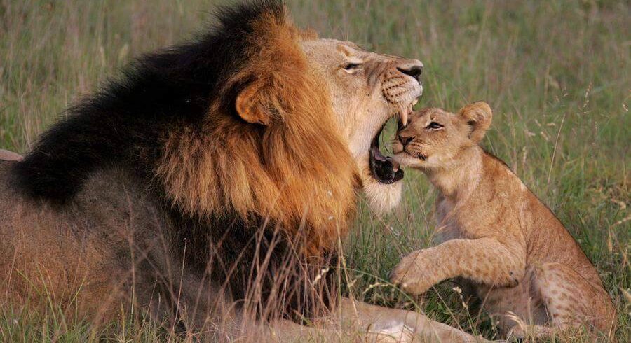 308910227_825857545426219_1138538413544831351_n