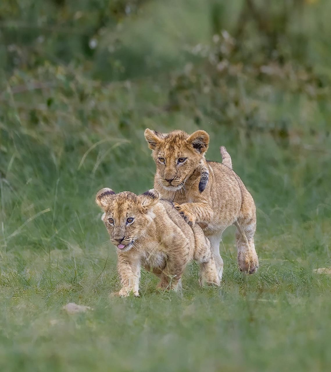 WhatsApp Image 2025-06-04 at 09.39.54