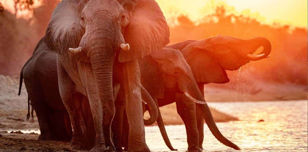 Arusha-National-Park-Day-Trip