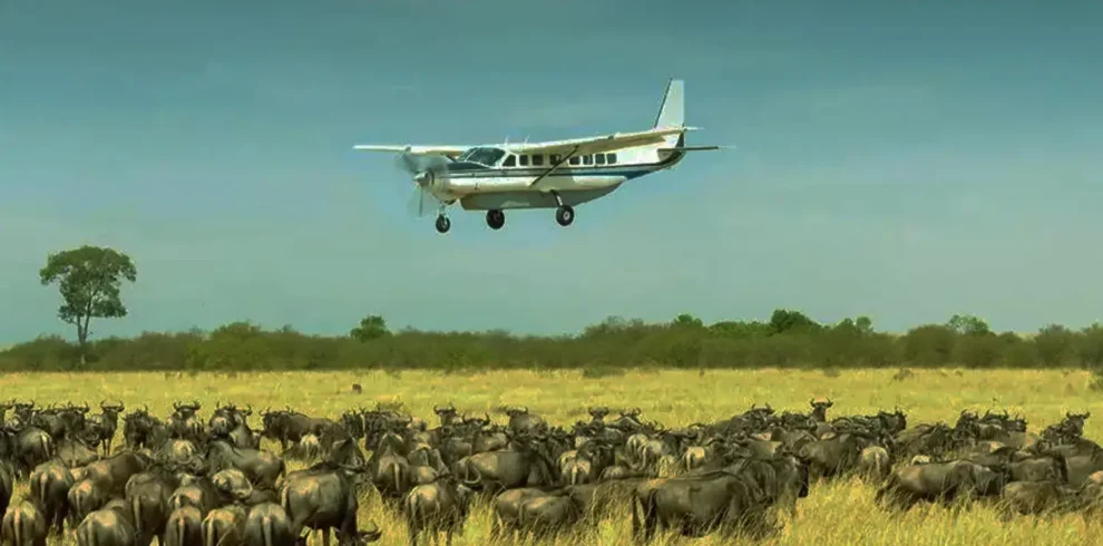 The-Best-2-Day-Serengeti-Tanzania-Safari-Fly-in-From-Arusha-Zanzibar-Costs-or-Price-Itinerary