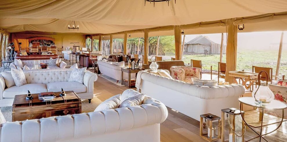 onenaturenyaruswigaserengeti2